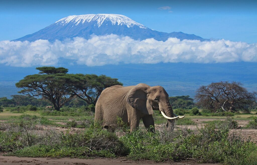 Amboseli National Park