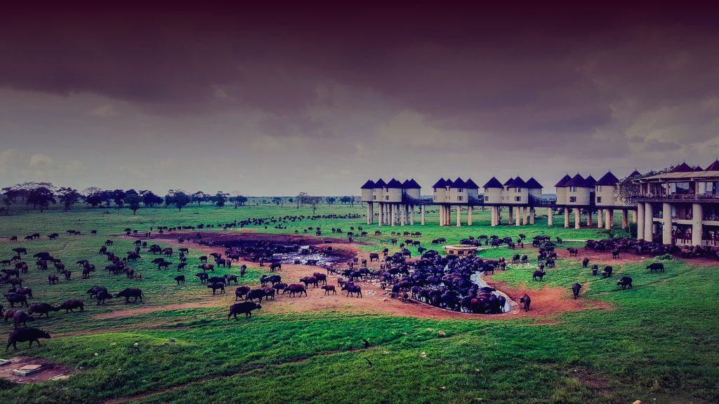 Taita Hills Wildlife Sanctuary