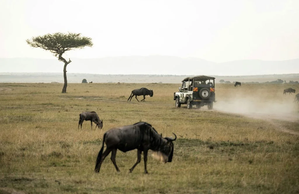 Kenya Safari Africana